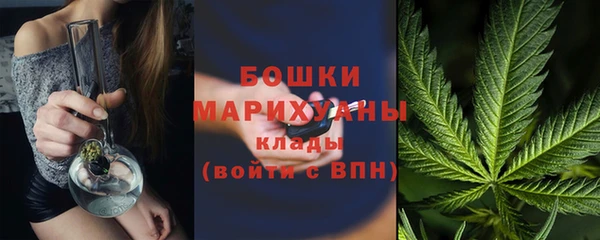 мдпв Козельск