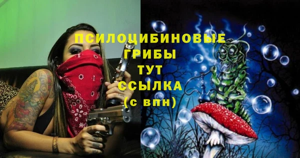 прущие крисы Кинешма