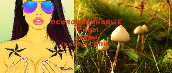 соль курить ск Киреевск