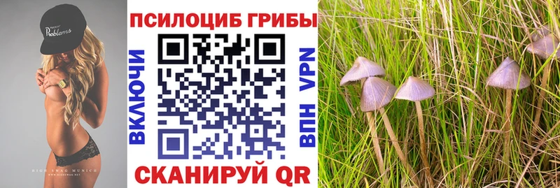 Галлюциногенные грибы прущие грибы  Купить где  Безенчук